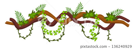 Exotic flora border. Jungle botany decorative element 136240929