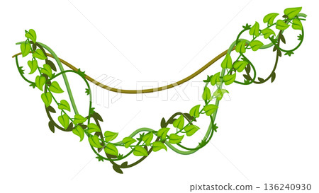 Jungle woodland botany with hanging twisted lianas icon 136240930