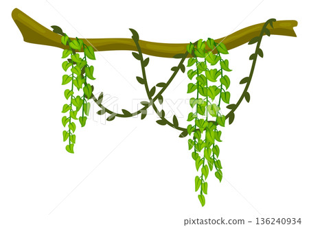 Rainforest branch with green liana. Cartoon jungle botany 136240934