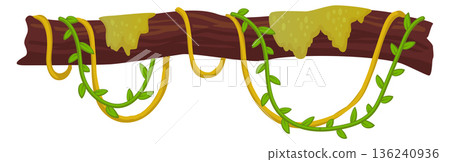 Jungle botany top border with creepers hanging on tree branch 136240936