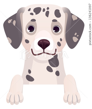 Cute dalmatian pet. Cartoon dog peeking character Cute dalmatian pet. Cartoon dog peeking character 136241097