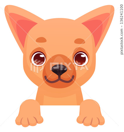 Cartoon chihuahua character. Peeking animal front view Cartoon chihuahua character. Peeking animal front view 136241100