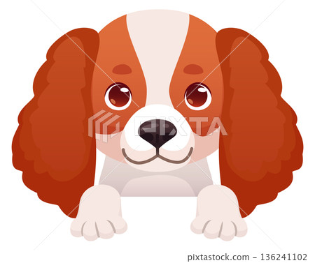 Cute spaniel portrait. Adorable peeking dog breed Cute spaniel portrait. Adorable peeking dog breed 136241102