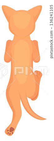 Cute chihuahua dog back view. Animal icon 136241105
