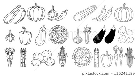 Collection of outline vegetables illustration, including zucchini, pumpkin, pepper, corn, cabbage and more 136241189
