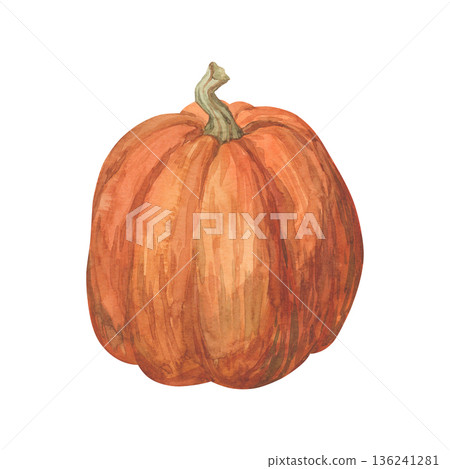 Orange pumpkin hand painted with watercolor 136241281