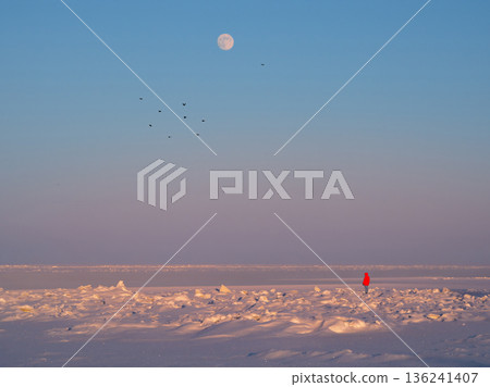 silhouette of a woman wearing a red coat stands in the snowy distance. silhouette of a woman wearing a red coat stands in the snowy distance. 136241407