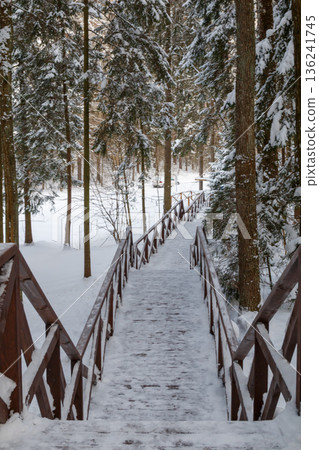 The beauty of the winter landscape  136241745