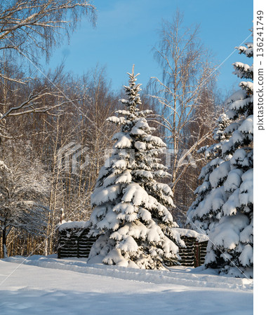 The beauty of the winter landscape The beauty of the winter landscape 136241749