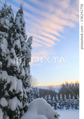 The beauty of the winter landscape The beauty of the winter landscape 136241756