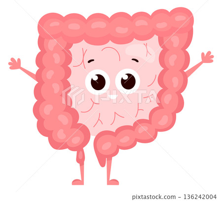 Healthy intestine mascot. Cartoon happy digestive system Healthy intestine mascot. Cartoon happy digestive system 136242004