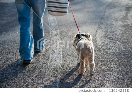 一隻狗的散步 一隻狗的散步 136242318