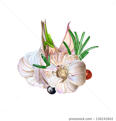Warm rustic kitchen illustration. Expressive watercolor depicting herbal kitchen warmness. Bright watercolor hand-drawn artwork illustrating with fresh herbs and garlic preparations 136242602