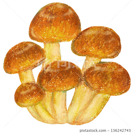 滑子島插畫油畫棒畫 136242743