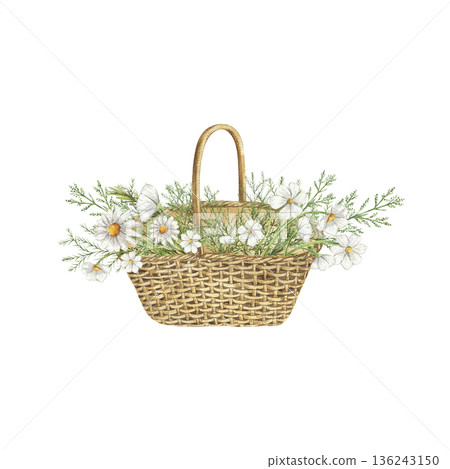 Watercolor Straw basket with daisies Watercolor Straw basket with daisies 136243150