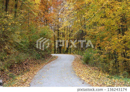 A curved road through an autumn forest with trees on both sides and leaves on the ground A curved road through an autumn forest with trees on both sides and leaves on the ground 136243174
