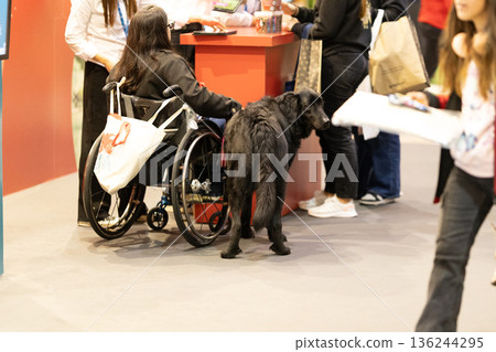 Person in wheelchair with service dog at event Person in wheelchair with service dog at event 136244295