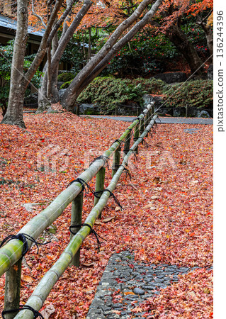 Beautiful Alley, pedestrian path along the tree Full of fallen leaves in garden during autumn. 136244396