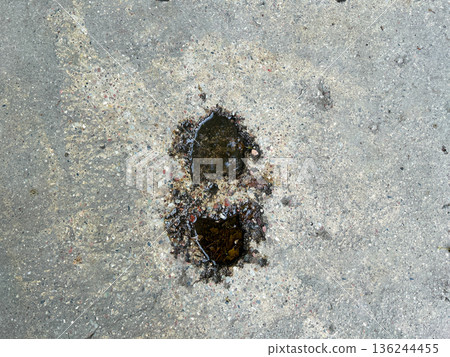 Male feet track track on wet concrete. Human step track Male feet track track on wet concrete. Human step track 136244455