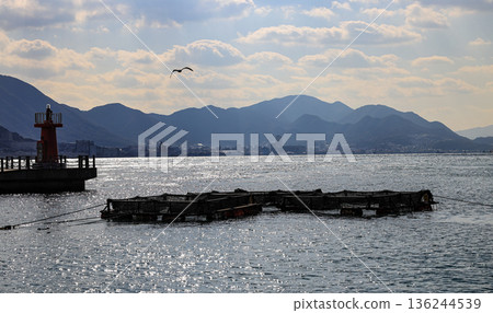 Fish farming cages floating in the blue sea near the Breakwater, Aquaculture in at Shimonoseki, Japan. Fish farming cages floating in the blue sea near the Breakwater, Aquaculture in at Shimonoseki, Japan. 136244539