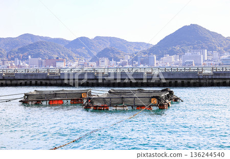 Fish farming cages floating in the blue sea near the Breakwater, Aquaculture in at Shimonoseki, Japan. 136244540