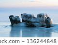Frozen coastal landscape 136244848
