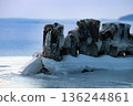 Frozen coastal landscape 136244861