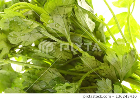 Twig of parsley background Twig of parsley background 136245410