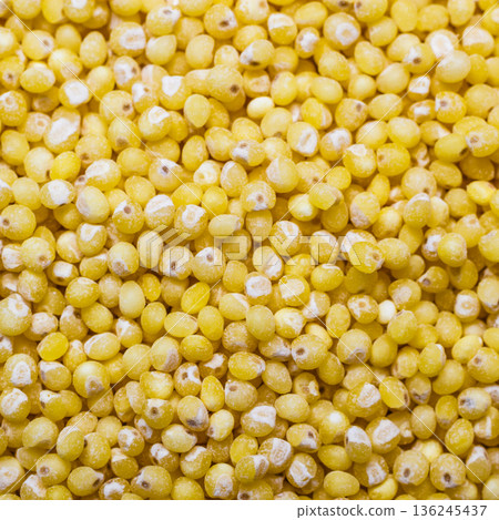 Millet groats as food background Millet groats as food background 136245437