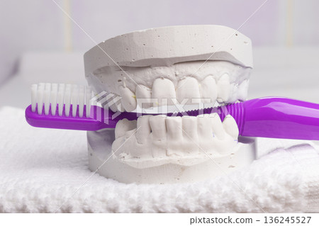 Violet toothbrush with dental gypsum Violet toothbrush with dental gypsum 136245527