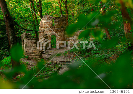 castle ruins wood land Europe country side landmark abandoned medieval building in deep forest green greenery environment castle ruins wood land Europe country side landmark abandoned medieval building in deep forest green greenery environment 136246191