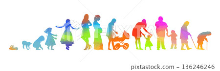 The colored life cycle of a woman. Not AI, vector illustration. The colored life cycle of a woman. Not AI, vector illustration. 136246246