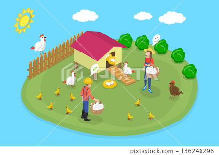 3D Isometric Flat Vector Illustration of Poultry Farming, Chicken Eggs, Green Field Farm With Farmers And Cage 136246296