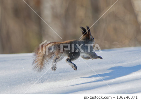 Running Ezoris 136246371