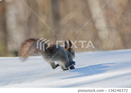 Running Ezoris 136246372