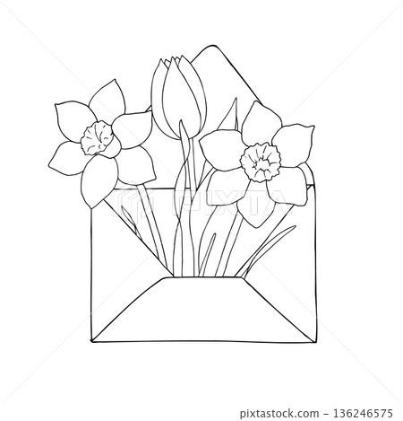 Vector composition with open paper envelope, easter daffodil and tulip flowers. Graphic spring blank, hand drawn illustration isolated on background. Botanical and wedding clip art. For greeting card 136246575