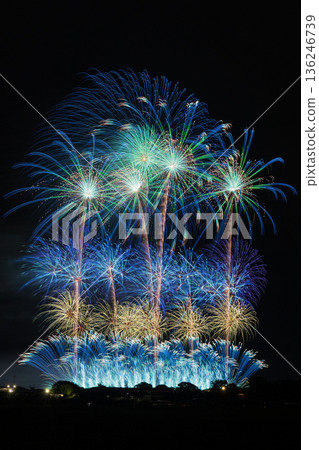 秋季煙火：頓河煙火節 136246739