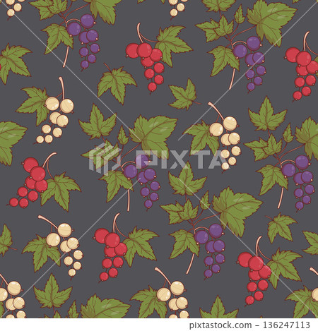 Mixed Currant Berries Branches Seamless Pattern on Dark Background. Botanical template with Black, Red and White Garden Fruit. Square Ornament. Vector illustration 136247113