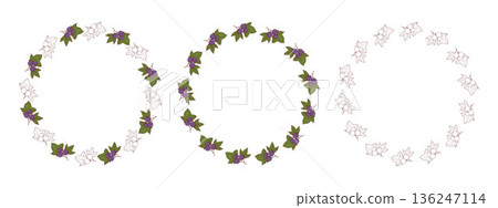 Blackcurrant Round Wreaths Set. Botanical Circle Frame with Currant Berry and Leaves with Empty Copy Space in Color, and Line Art. Isolated Vector illustration 136247114