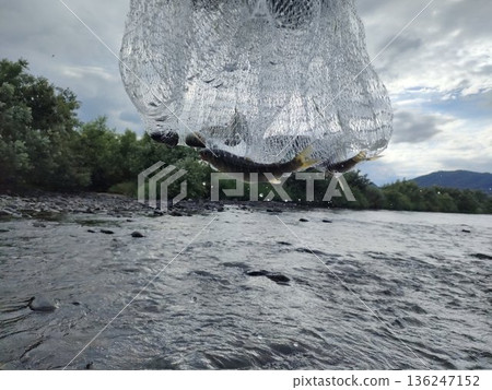 Ayu in the air 136247152