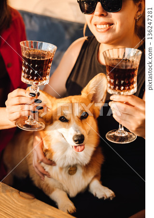 Close up toast with crystal glasses and corgi on sunny outdoor terrace Close up toast with crystal glasses and corgi on sunny outdoor terrace 136247281