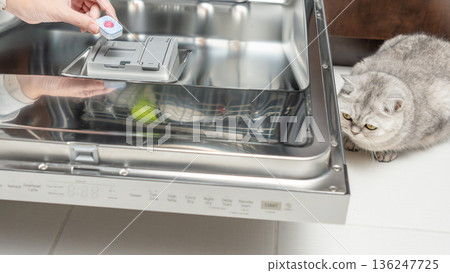 Hand placing detergent pod into modern dishwasher with a curious gray cat observing from the side in a bright kitchen setting Hand placing detergent pod into modern dishwasher with a curious gray cat observing from the side in a bright kitchen setting 136247725