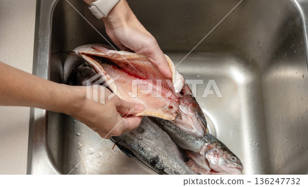 Person checking for worms in freshly caught fish while holding it over a stainless steel sink with additional fish visible nearby Person checking for worms in freshly caught fish while holding it over a stainless steel sink with additional fish visible nearby 136247732