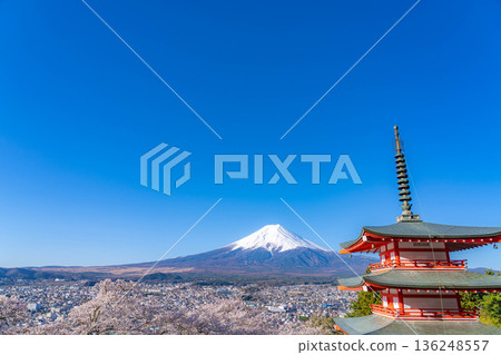 【春季素材】從荒倉山淺間公園眺望富士山、櫻花與忠靈塔【山梨郡】 【春季素材】從荒倉山淺間公園眺望富士山、櫻花與忠靈塔【山梨郡】 136248557