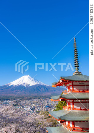 【春季素材】從荒倉山淺間公園眺望富士山、櫻花與忠靈塔【山梨郡】 【春季素材】從荒倉山淺間公園眺望富士山、櫻花與忠靈塔【山梨郡】 136248558