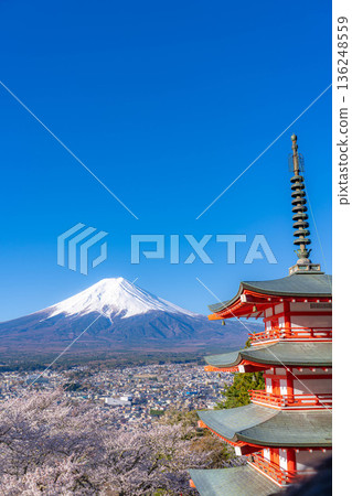 【春季素材】從荒倉山淺間公園眺望富士山、櫻花與忠靈塔【山梨郡】 【春季素材】從荒倉山淺間公園眺望富士山、櫻花與忠靈塔【山梨郡】 136248559