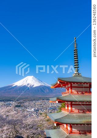 【春季素材】從荒倉山淺間公園眺望富士山、櫻花與忠靈塔【山梨郡】 【春季素材】從荒倉山淺間公園眺望富士山、櫻花與忠靈塔【山梨郡】 136248560