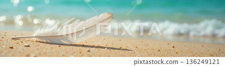 A feather on a sandy beach. 136249121