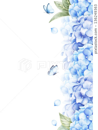 Greeting card template with hydrangea flowers, leaves and butterflies. Watercolor hand drawn illustration isolated on white background Greeting card template with hydrangea flowers, leaves and butterflies. Watercolor hand drawn illustration isolated on white background 136249363