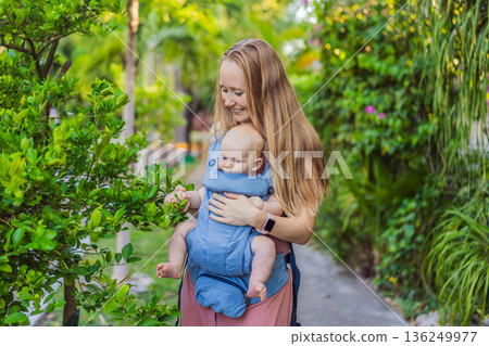 Mother using ergonomic baby carrier during a walk with her infant outdoors. Comfortable babywearing, active motherhood lifestyle, bonding, modern parenting, hands free care and everyday family routine Mother using ergonomic baby carrier during a walk with her infant outdoors. Comfortable babywearing, active motherhood lifestyle, bonding, modern parenting, hands free care and everyday family routine 136249977